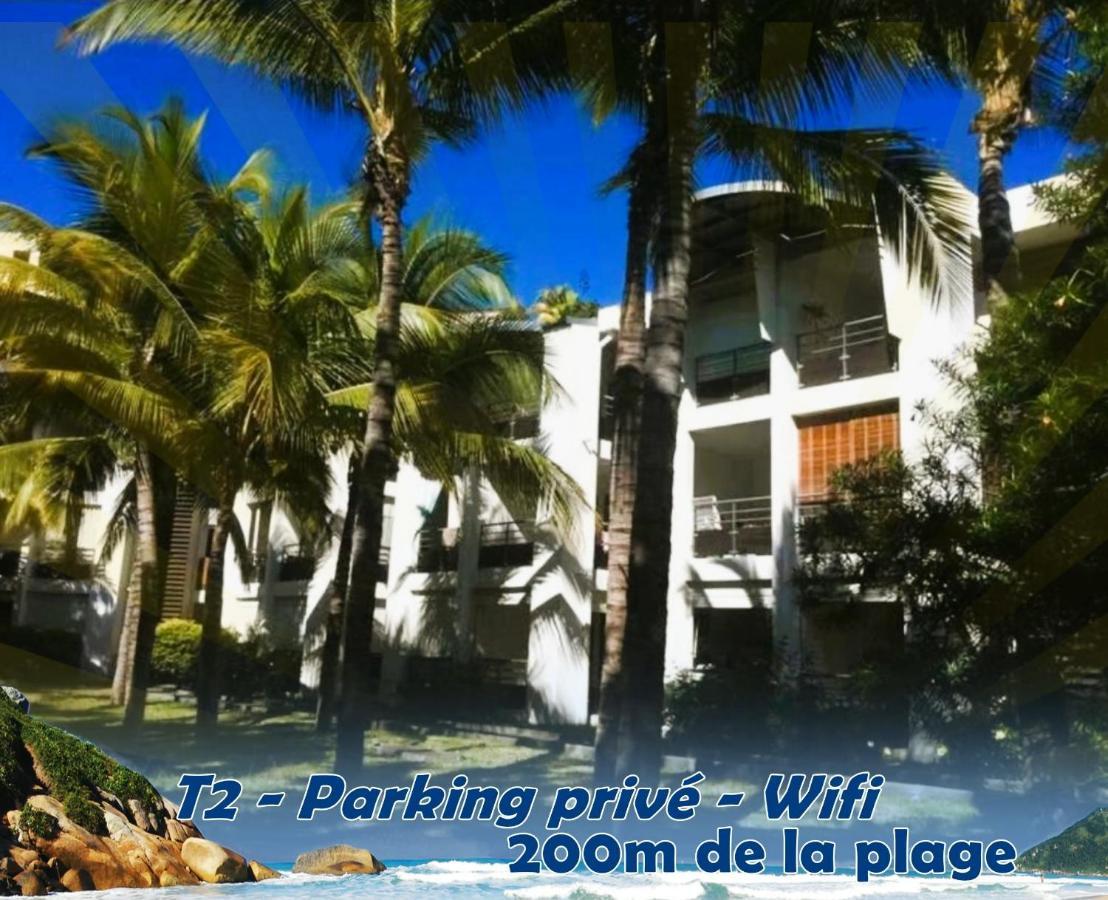 Palmae De Boucan Canot T2 St-Gilles A 200M De La Plage 圣吉尔莱班 外观 照片